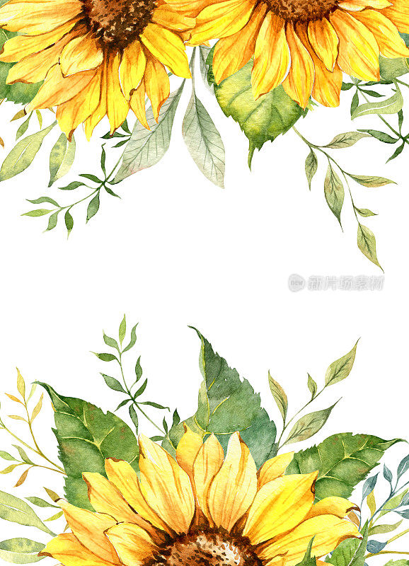 向日葵婚礼请柬框架。水彩花卉框架与向日葵。水彩植物插图