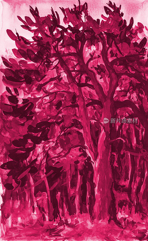 插图森林油画在红色的山水松林在阳光的照射下，对着阳光灿烂的天空的其他树木和草