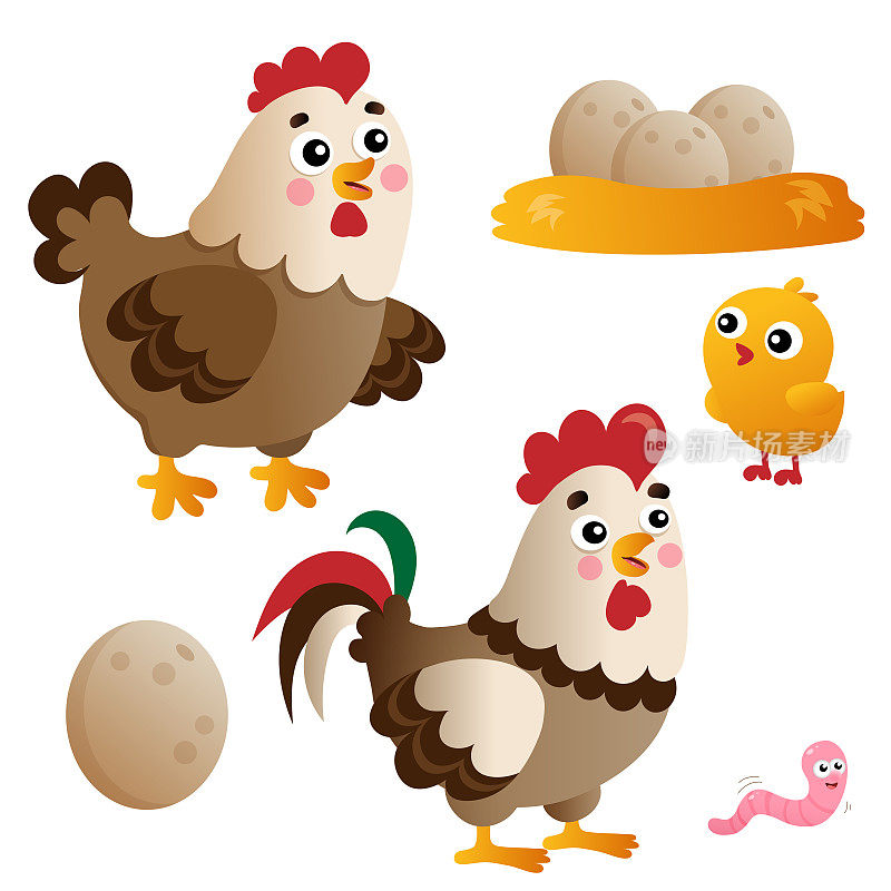 彩色图像的卡通鸡或母鸡与公鸡，小鸡和鸡蛋在白色的背景。农场动物。矢量插图设置为孩子。