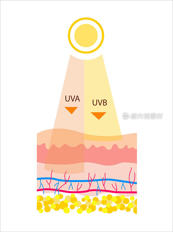UVB和UVA辐射的平面矢量图