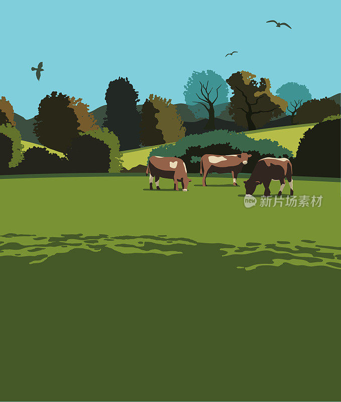 有奶牛的乡村景色