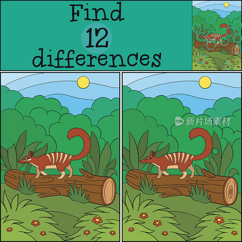 教育游戏:发现差异。小可爱的袋食蚁兽。