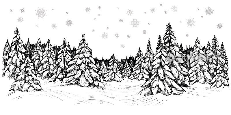 雪冷杉的矢量插图。冬天的森林被雪覆盖，手绘素描。
