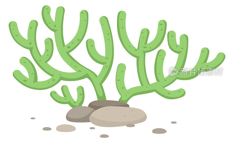 绿色的水下植物。卡通珊瑚或海藻图标