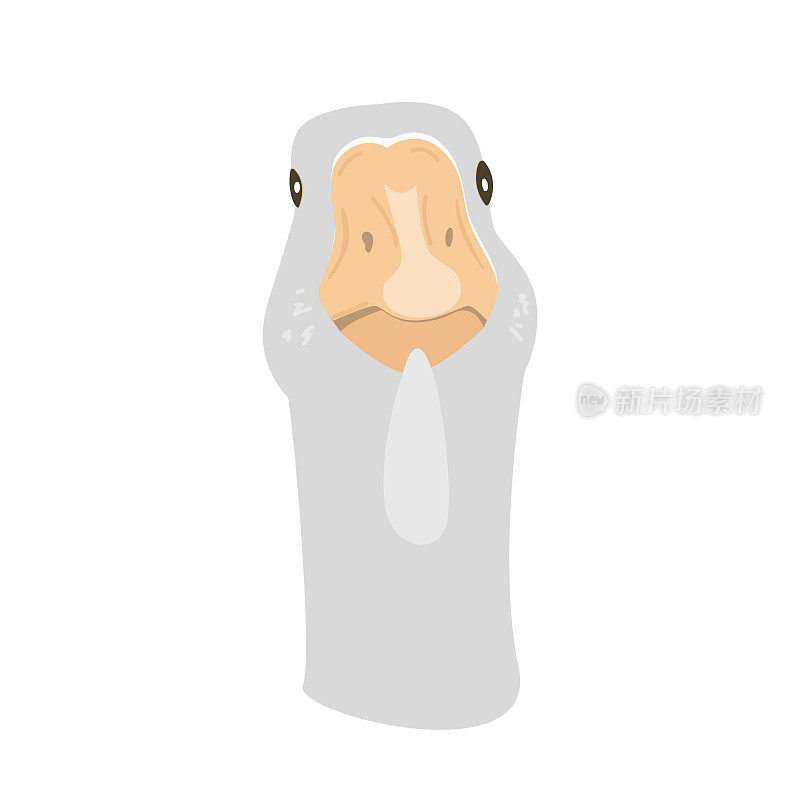 雁头卡通矢量插图孤立的白色。平式鹅脸，侧面观。