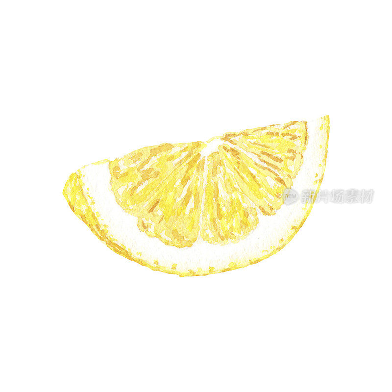 植物风格手绘柠檬片的水彩插图，用于假日，婚礼和食品设计
