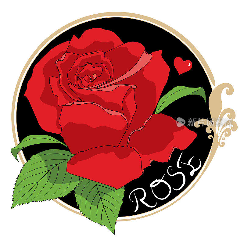 红玫瑰，情人节贺卡。矢量彩色元素插图纹身或贺卡和婚礼邀请。