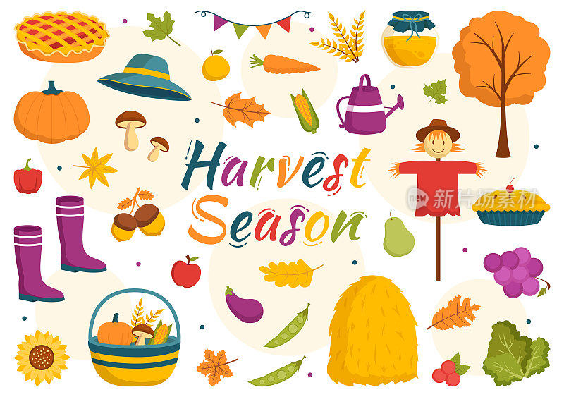 收获季节矢量插图与南瓜和季节性农业的秋天在一个农场在平面卡通手绘背景模板