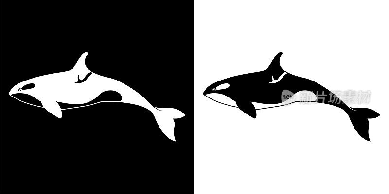 虎鲸的图标。