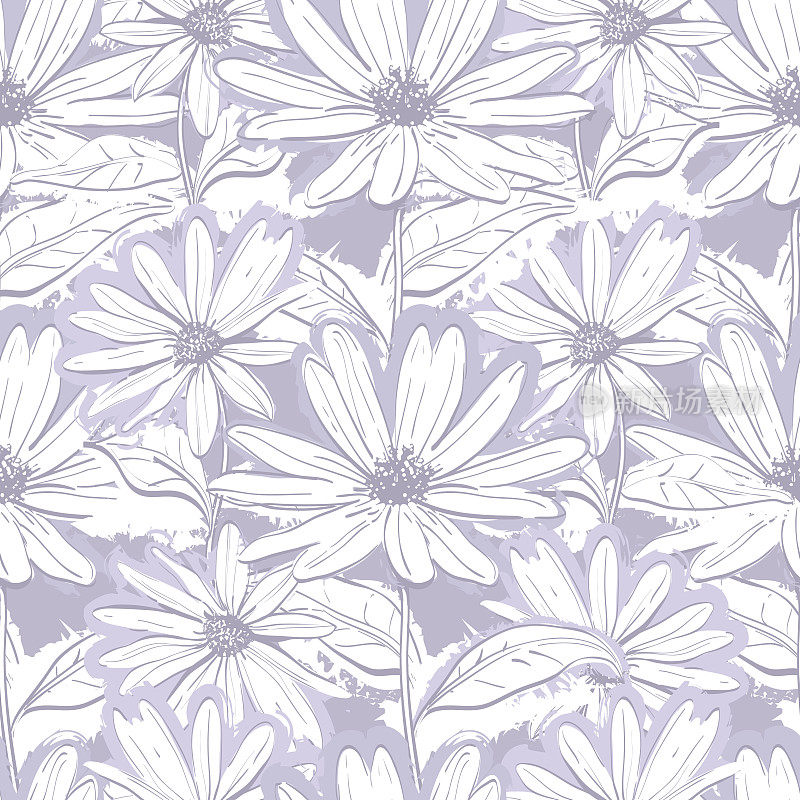 单色淡紫色灰色花卉壁纸，无缝洋甘菊，手绘雏菊