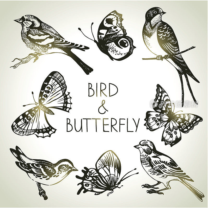 鸟和蝴蝶集，手绘插图
