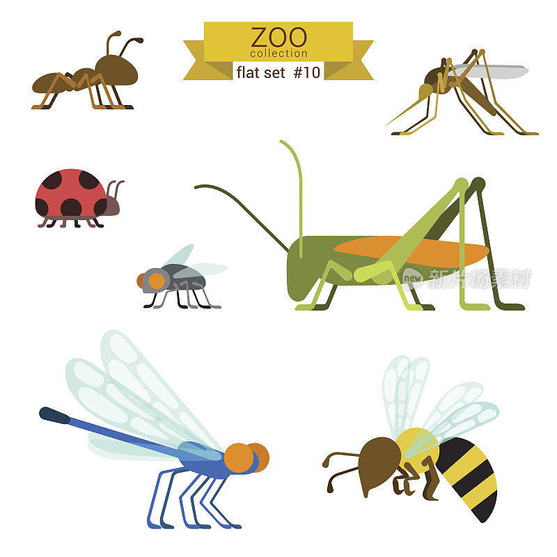 平面设计昆虫和蚂蚁矢量图标集。蚂蚁、蚊子、瓢虫、苍蝇、蚱蜢、蝗虫、蜻蜓、黄蜂。平动物园儿童卡通收藏。