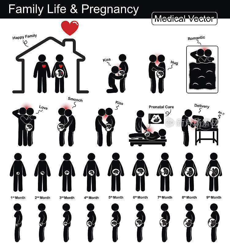 怀孕期间的家庭生活和胎儿发育(孕妇和胎儿在子宫内生长)(循序渐进)(医学、科学和保健概念)(黑色和白色，平面设计，孤立)