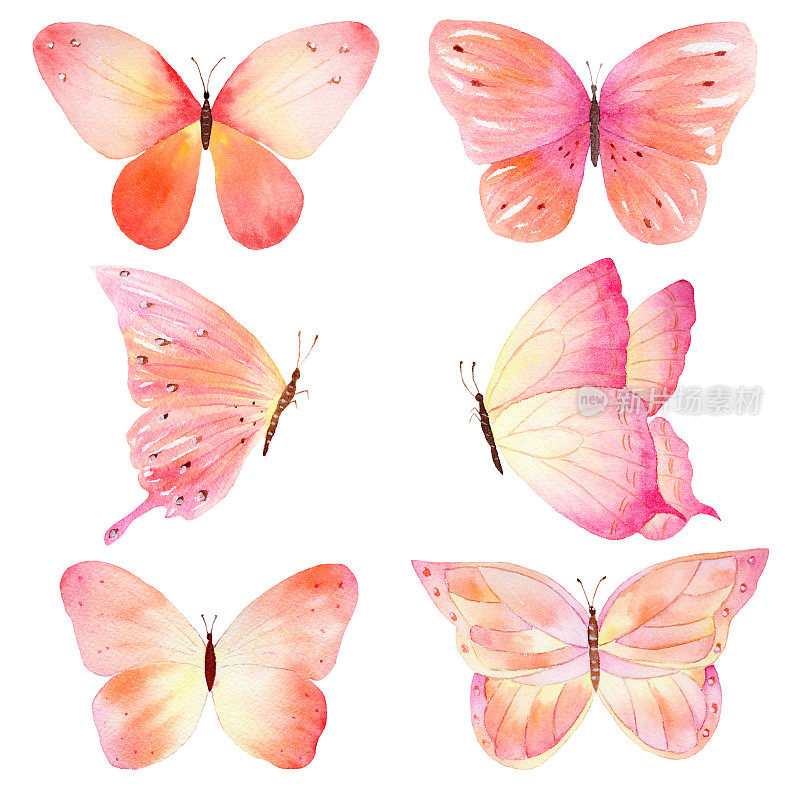 水彩手工蝴蝶设置在白色背景。