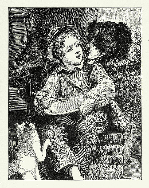 复古男孩试图吃他的晚餐，而猫和狗乞讨食物，美国维多利亚版画，1882年