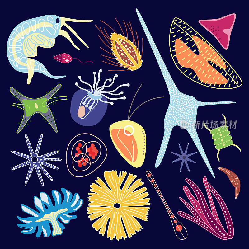 显微镜下的微小浮游生物平面卡通矢量插图