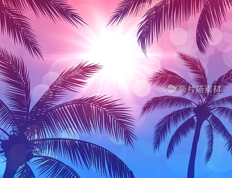 棕榈树和太阳蓝色粉红色的背景