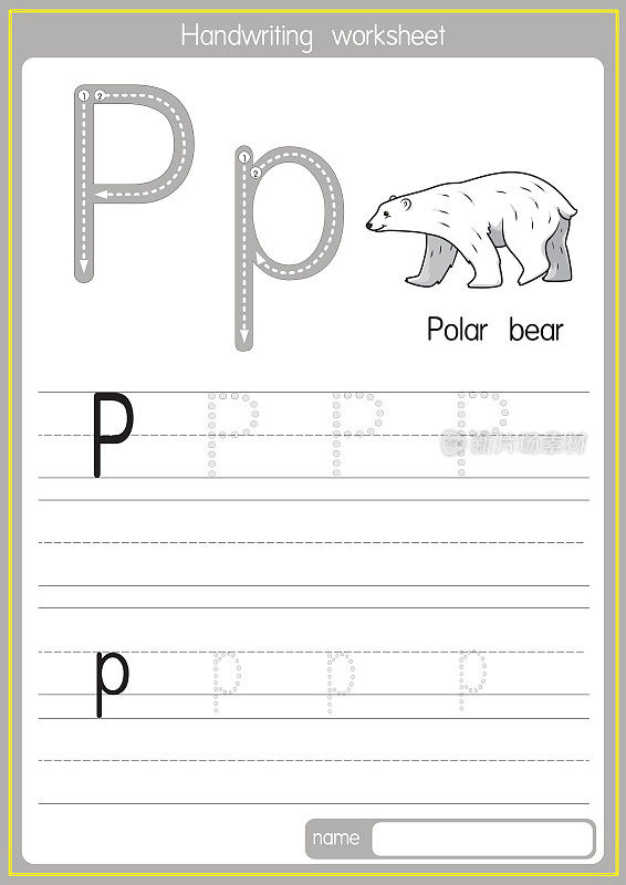 矢量插图北极熊与字母P大写字母或大写字母的儿童学习练习ABC