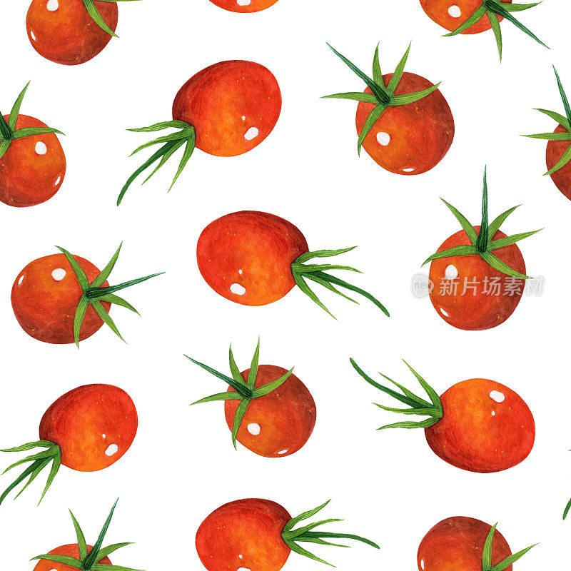熟透的水彩樱桃番茄无缝图案。手绘插图在白色背景。整个红色的小蔬菜。异国情调的园林植物。Clipart菜单，咖啡馆，市场，网络