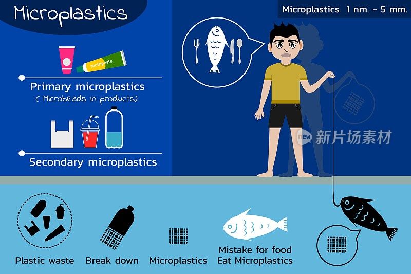 海洋微塑料污染循环，载体