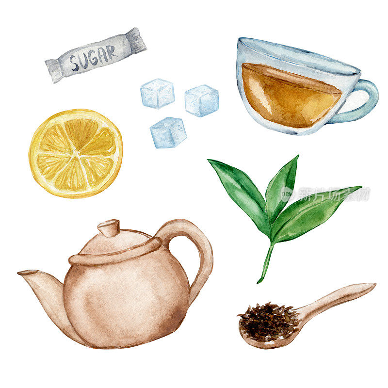 手绘茶画集水彩插图。柠檬。薄荷。茶叶，草药，茶包，红茶，茶杯，茶壶。孤立于白色
