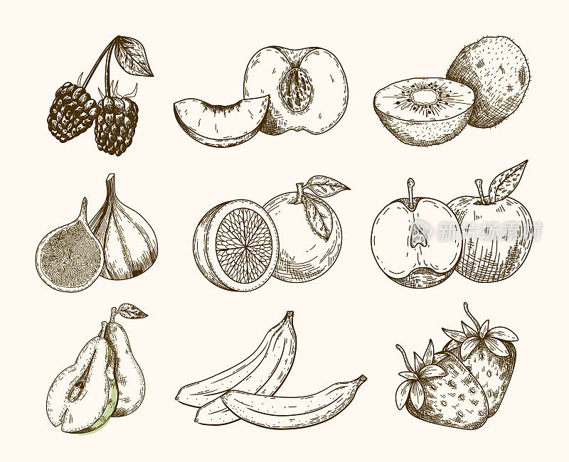一套素描水果图标，如黑莓，桃子，猕猴桃，无花果，橙子，苹果，梨，香蕉，草莓