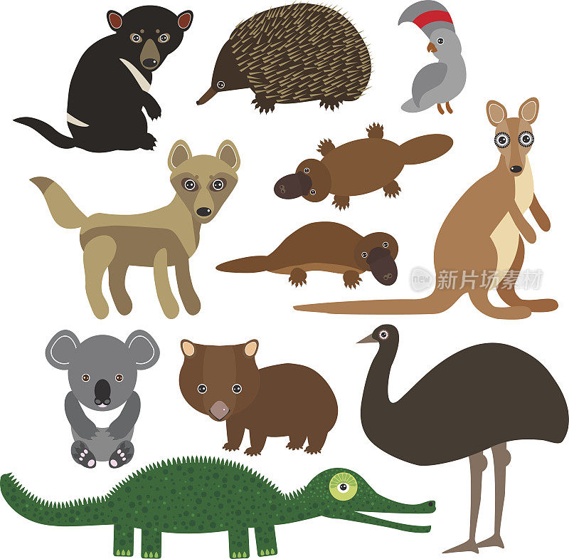 动物澳大利亚:针鼹、鸭嘴兽、鸵鸟、鸸鹋、塔斯马尼亚魔鬼、凤头鹦鹉