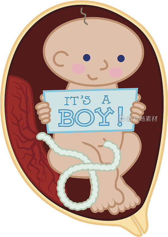 胎儿抱着‘是个男孩!的标志