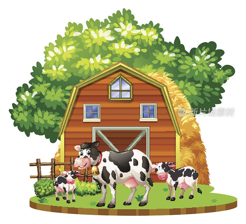 奶牛住在农家的院子里
