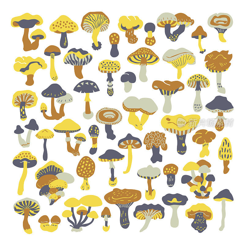 一组矢量涂鸦蘑菇。