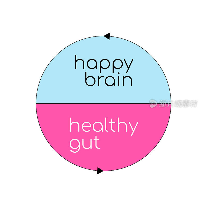 健康的肠道快乐的大脑