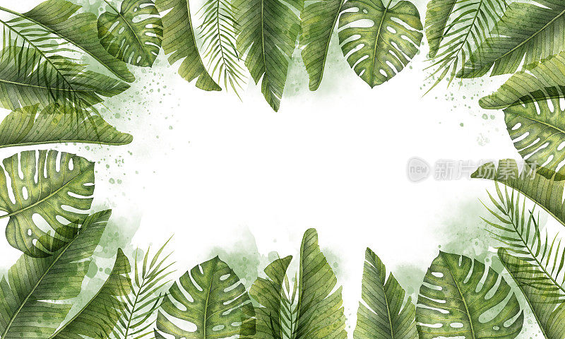 框架与热带异国情调的绿色棕榈叶。手绘水彩背景贺卡模板或邀请。矩形植物边界与孤立背景上的丛林植物