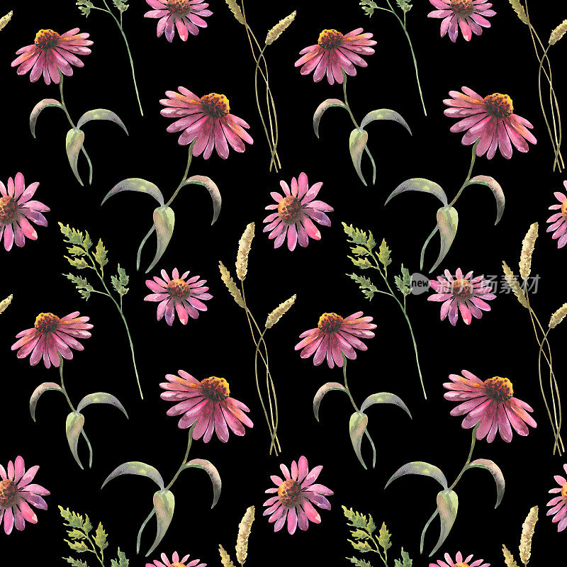 水彩无缝图案与紫锥菊花和田间草药，水彩画，手绘花卉插图，孤立在黑色背景，草药点缀。