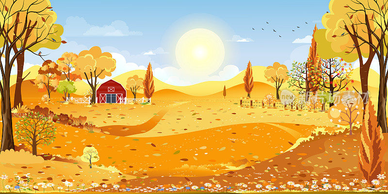 秋天全景景观农场田野与蓝天，全景视图秋天农村农村与黄色，橙色树叶，矢量卡通秋季与横幅背景的复制空间