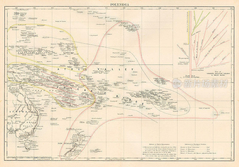 1878年波利尼西亚地区地图