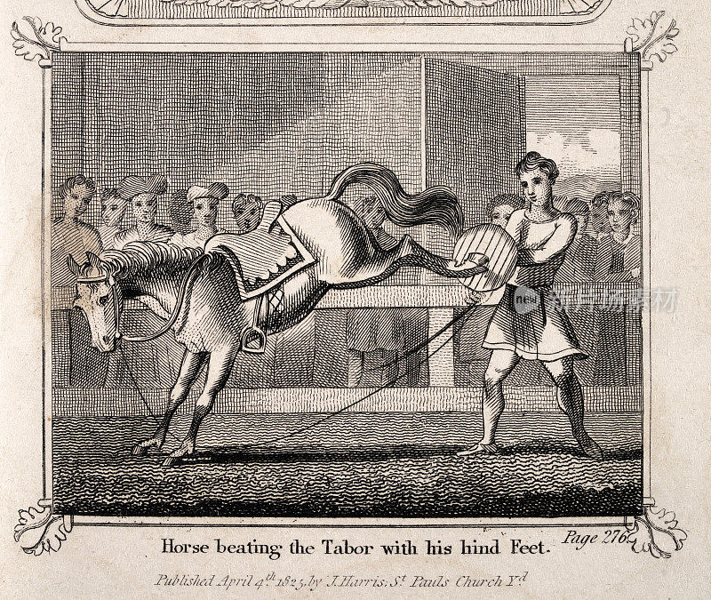 动物驯兽师在集市或马戏团与马表演，打tabor鼓