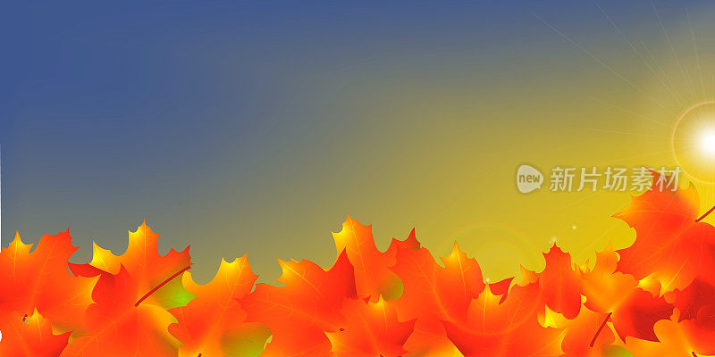 秋天的框架与飘落的枫叶在天空的背景。优雅的设计与阳光的光线。矢量插图。