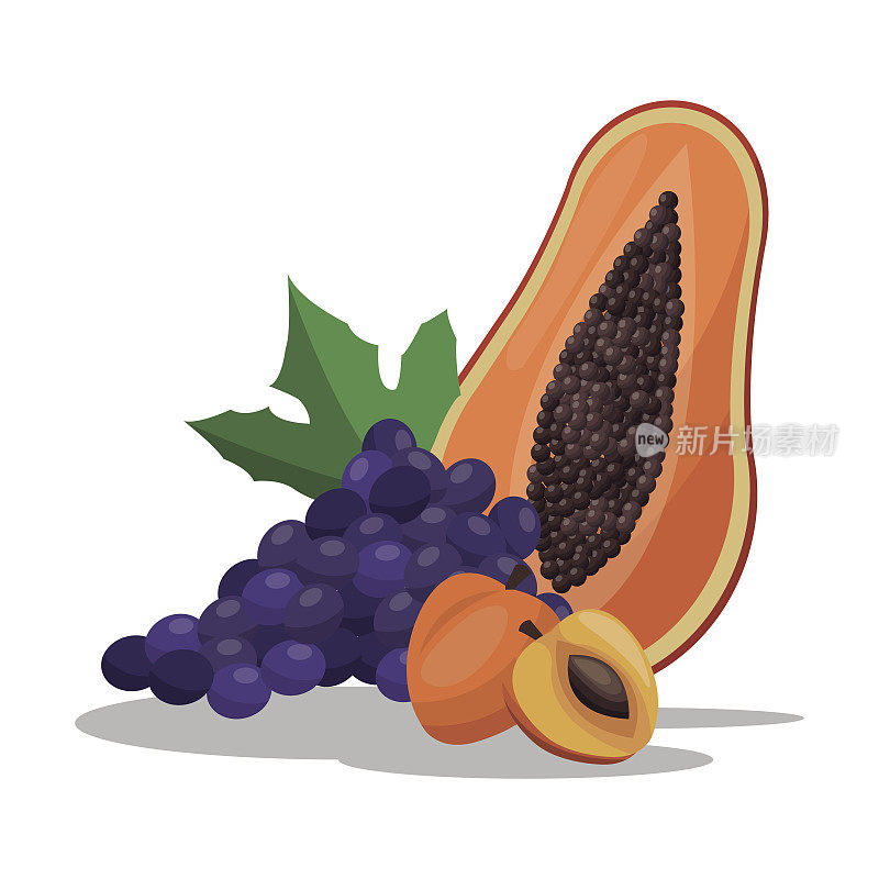 水果营养健康形象