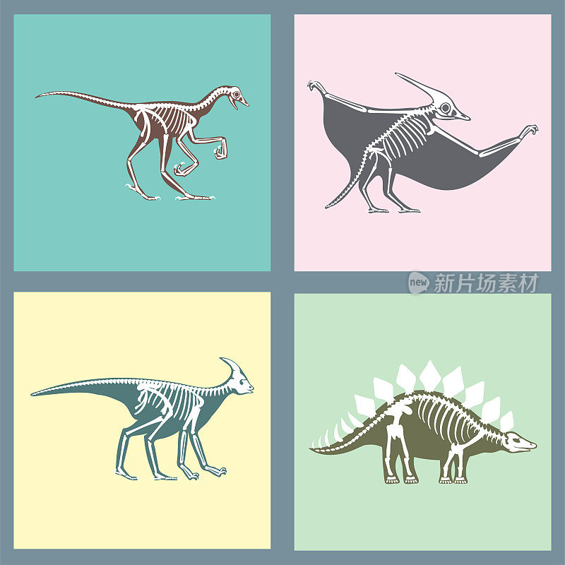 恐龙骨骼剪影卡集化石骨霸王龙史前动物恐龙骨矢量平面插图