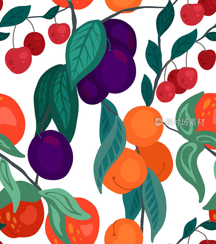 无缝隙的扁平纹理与樱桃，桃子，李子树枝与叶在白色的背景。卡通图案与浆果。用水果和灌木绘制的墙纸。