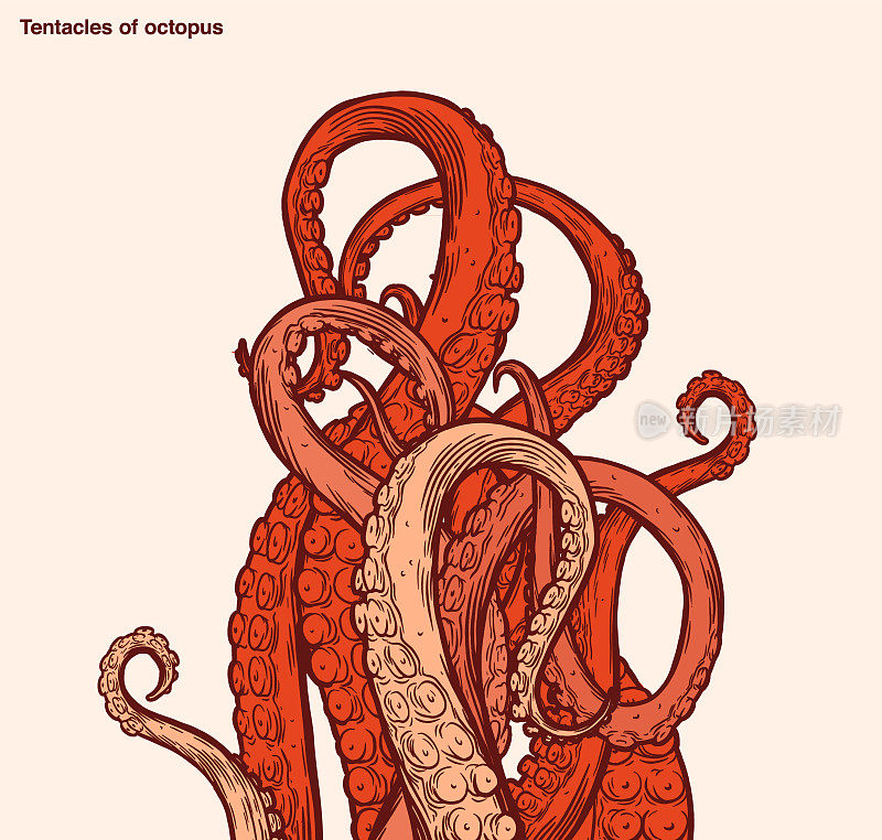 红色的章鱼触须