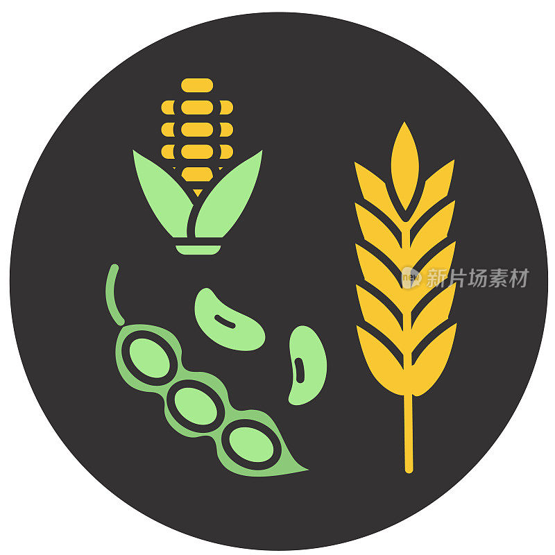 现代农场和农业玉米芯，大豆和小麦的图标概念