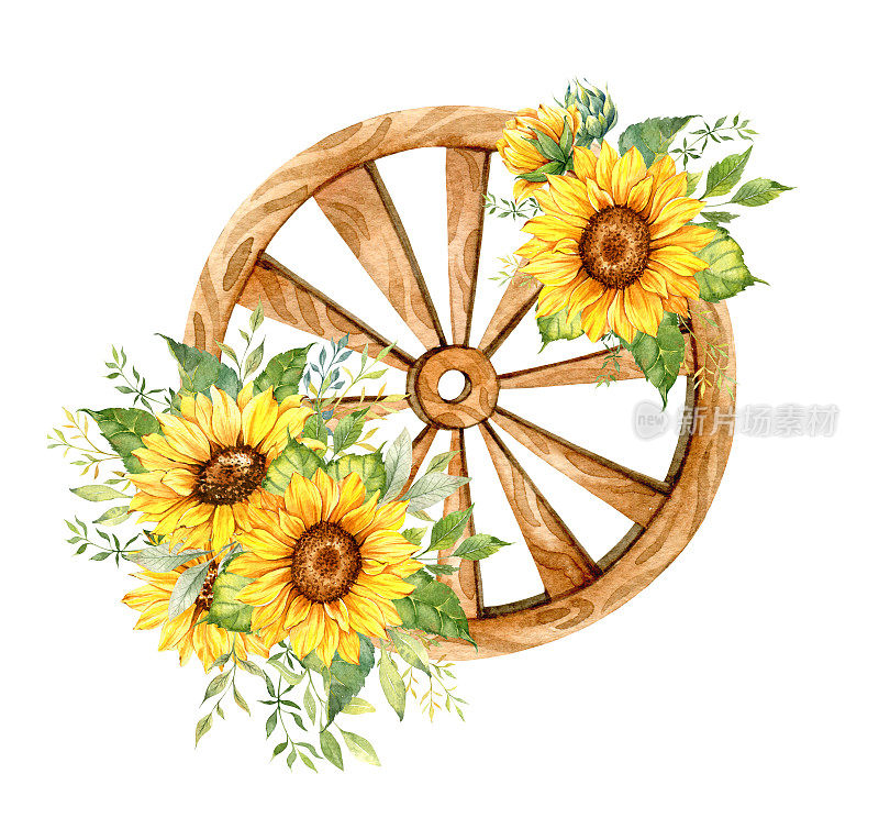 木轮与水彩向日葵，手绘向日葵花束与绿色植物，向日葵插花。向日葵农舍装饰。