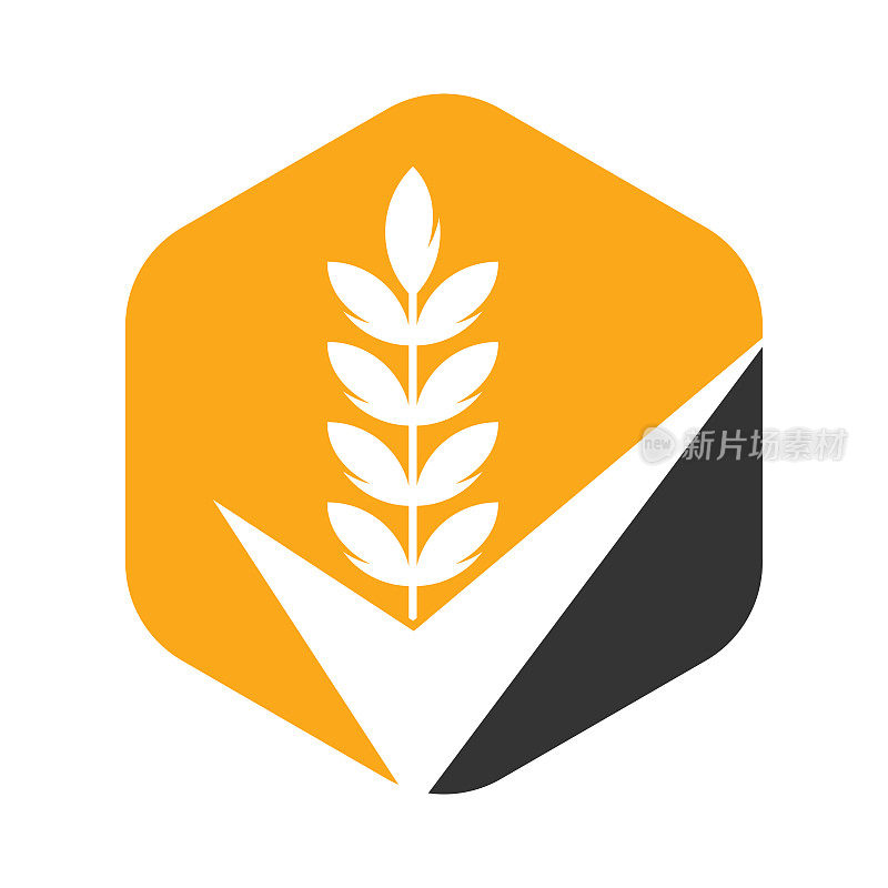 小麦谷物检查标志。谷物小麦标志概念标志图标
