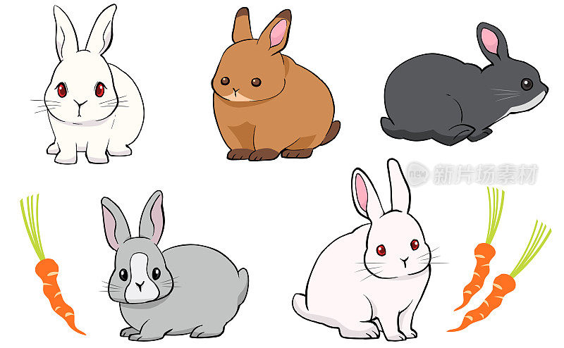 各种手绘兔子插画集
