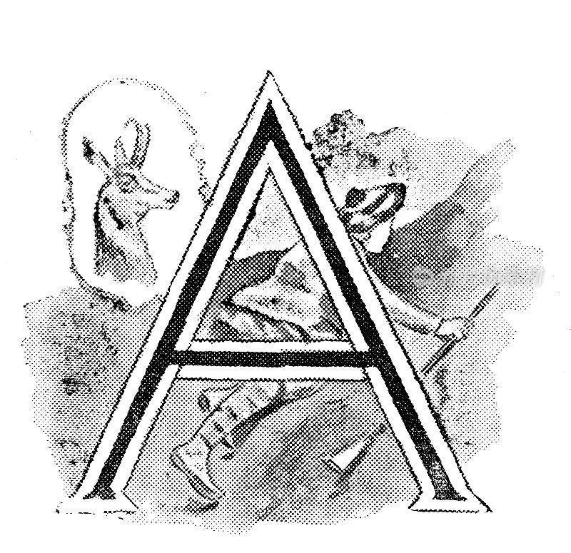 古董插图的体育和休闲活动:大写字母A和岩羚羊猎人