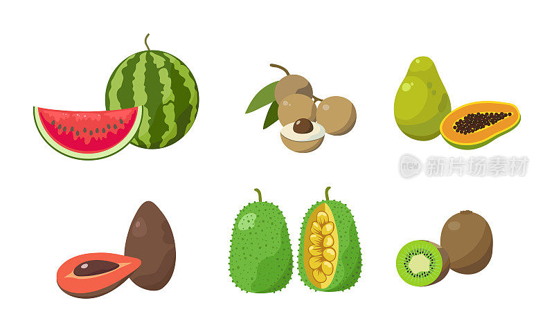 西瓜、龙眼、木瓜、牛油果、菠萝蜜、猕猴桃切片套装。矢量插图在平面卡通风格。