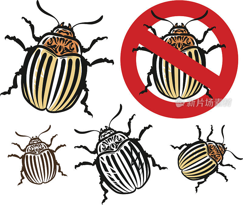 科罗拉多州马铃薯甲虫和禁止标志。矢量图