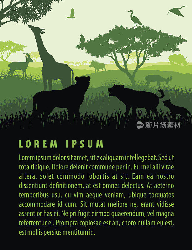 矢量插图的非洲草原野生动物的野生动物的轮廓在日落设计模板景观