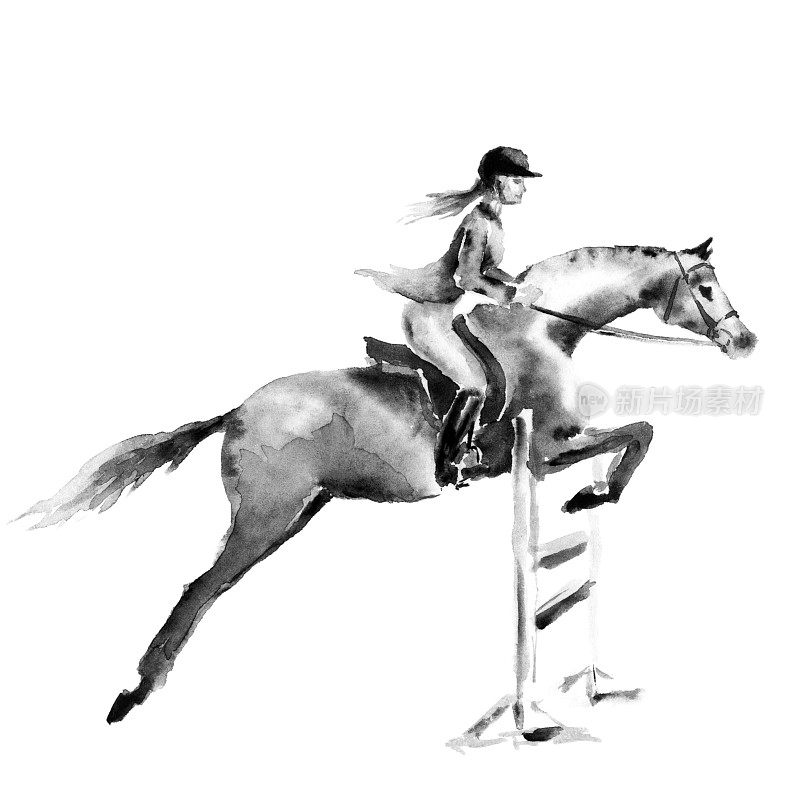 骑马的女孩或女人和马在森林里跳跃白色。黑白单色水彩或水墨手绘艺术。